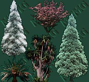 Set of Trees