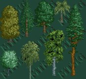 Set of 15 Trees